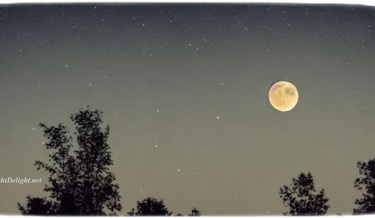 Sleep: Your Secret Weapon Against&nbsp;Cancer